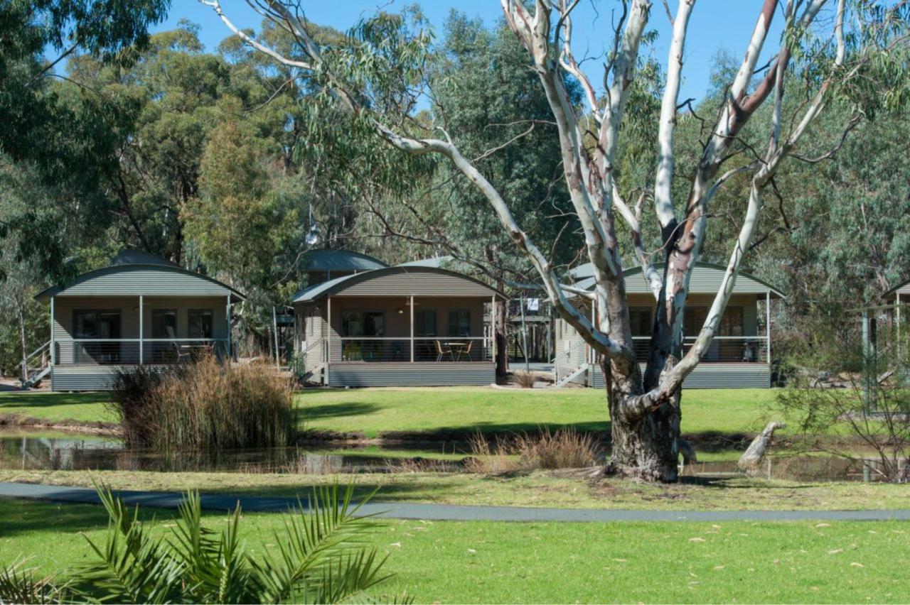Tasman Holiday Parks - Moama On The Murray Buitenkant foto